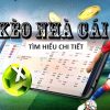 BC Game Uy Tín Hay Lừa Đảo？